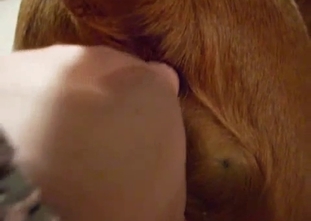 Sticking my finger in a tight doggy anus