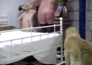 Hot sluts are practicing a zoo sex